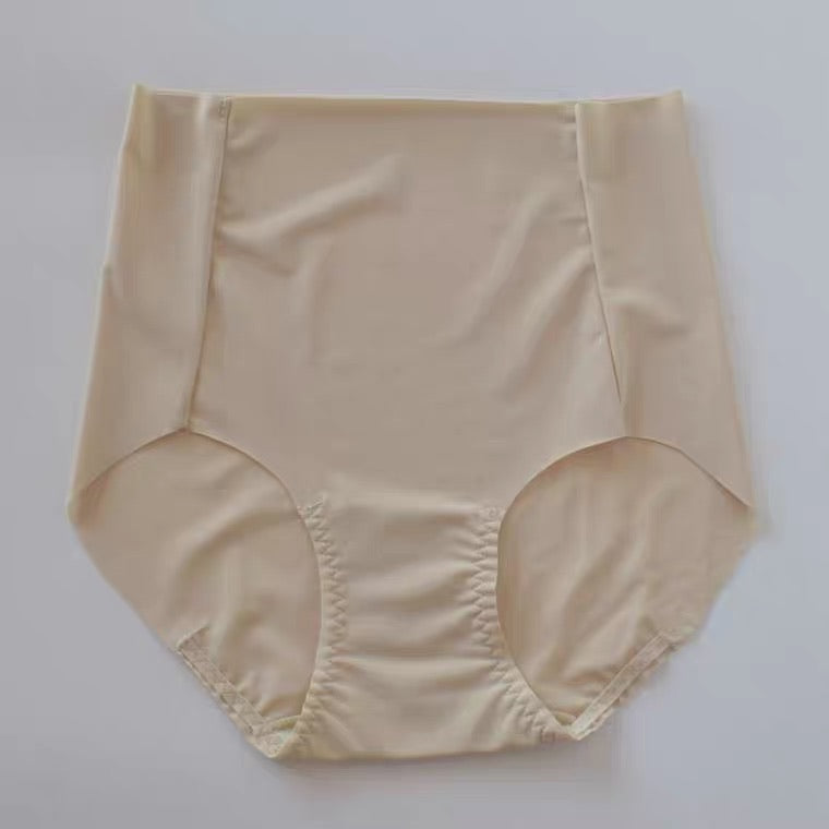 F&R Silky Invisible High Waist Brief Wholesale